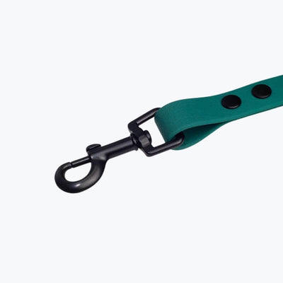Czarny karabińczyk użyty w zielonej smyczy z PVC od Petsband