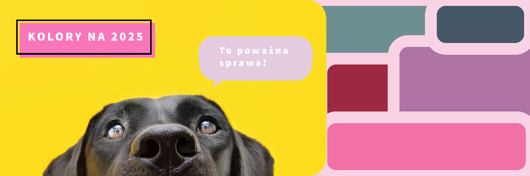 Banner - pies wychodzący od dołu z kilkoma kolorami po prawej stronie