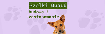 Piesek wystający u dołu ekranu z dużym napisem Szelki Guard - budowa i zastosowanie. Wszystko na różowym tle z zielonymi napisami.