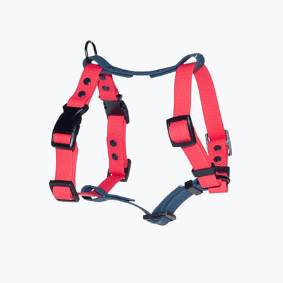 Szelki dla psa - szelki typu GUARD z PVC HEXA w kolorach czerwony oraz granatowy od Petsband