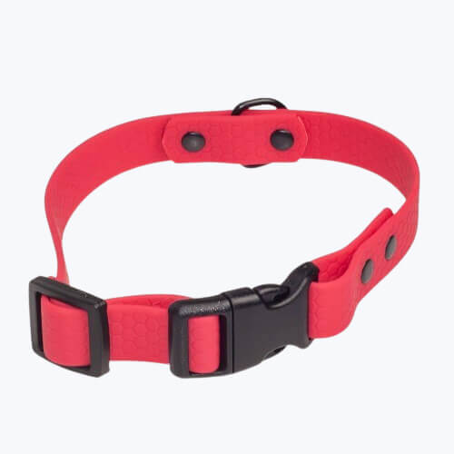 Obroża od Petsband w kolorze czerwonym wykonany z PVC HEXA - widoczna plastikowa klamra