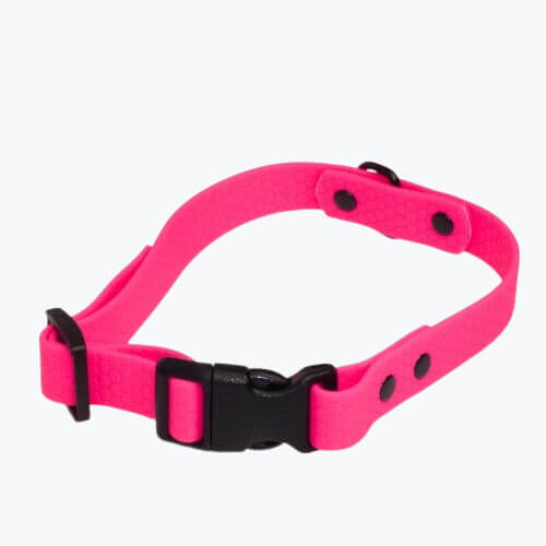 Obroża od Petsband w kolorze neonowy róż wykonany z PVC HEXA - widoczna plastikowa klamra